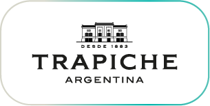 Capa 2logo